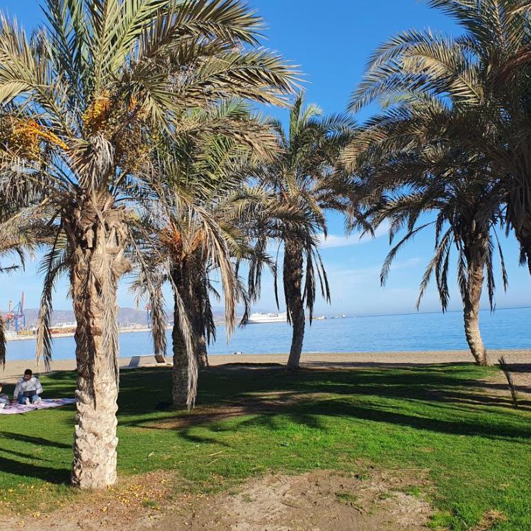 Nice Duplex Home, Marbella, See View, Hotel Resort - Two-Bedroom Apartment - 25