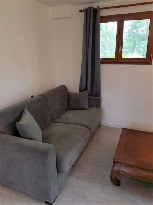 New studio ground floor in the heart of nature - Studio - 19