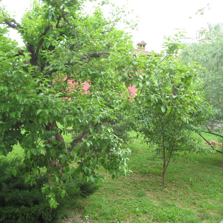 Casa Bruno B&B - Appartamento con 2 Camere da Letto - 20