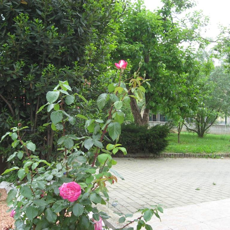 Casa Bruno B&B - Appartamento con 2 Camere da Letto - 16