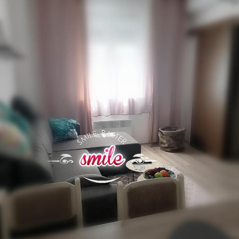 apartman TARA aqua park - Apartman sa 1 Spavaćom Sobom - 20