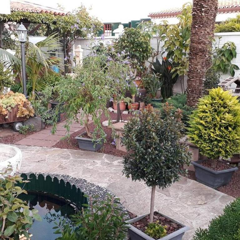Apartamento tranquilo en una casa con jardín - Apartamento de 1 dormitorio - 3