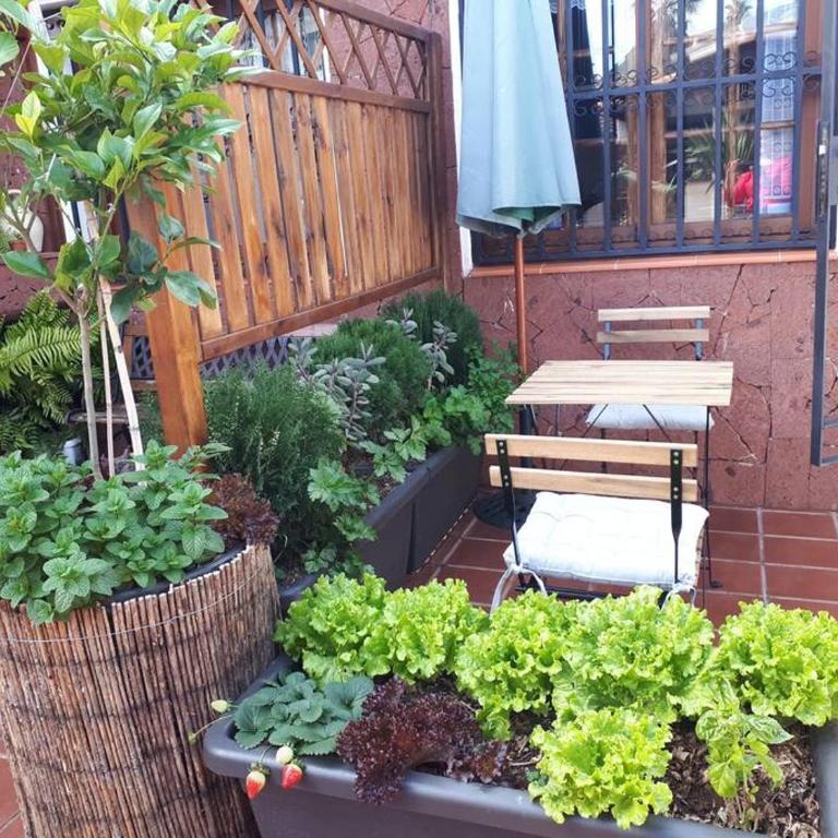 Apartamento tranquilo en una casa con jardín - Apartamento de 1 dormitorio - 11