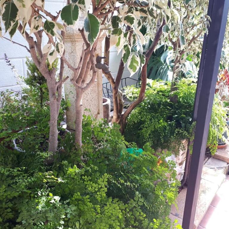 Apartamento tranquilo en una casa con jardín - Apartamento de 1 dormitorio - 15