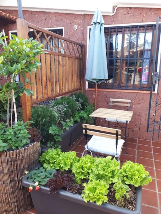 Apartamento tranquilo en una casa con jardín - Apartamento de 1 dormitorio - 17