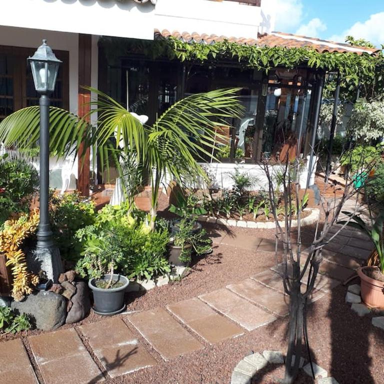 Apartamento tranquilo en una casa con jardín - Apartamento de 1 dormitorio - 18