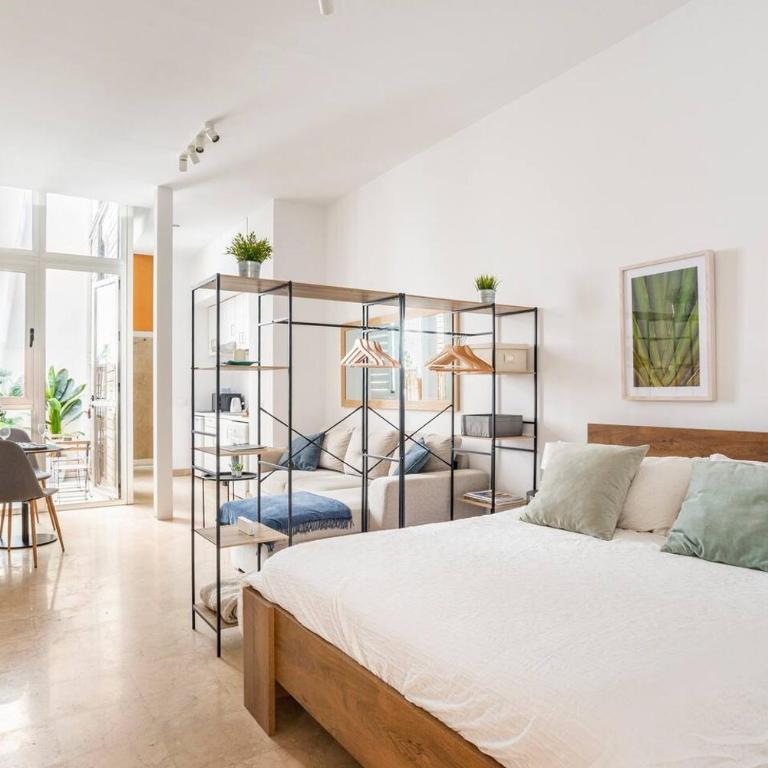 ESTUDIO TRANQUILO EN PLENO CENTRO DE MALAGA - Apartamento de 1 dormitorio - 1