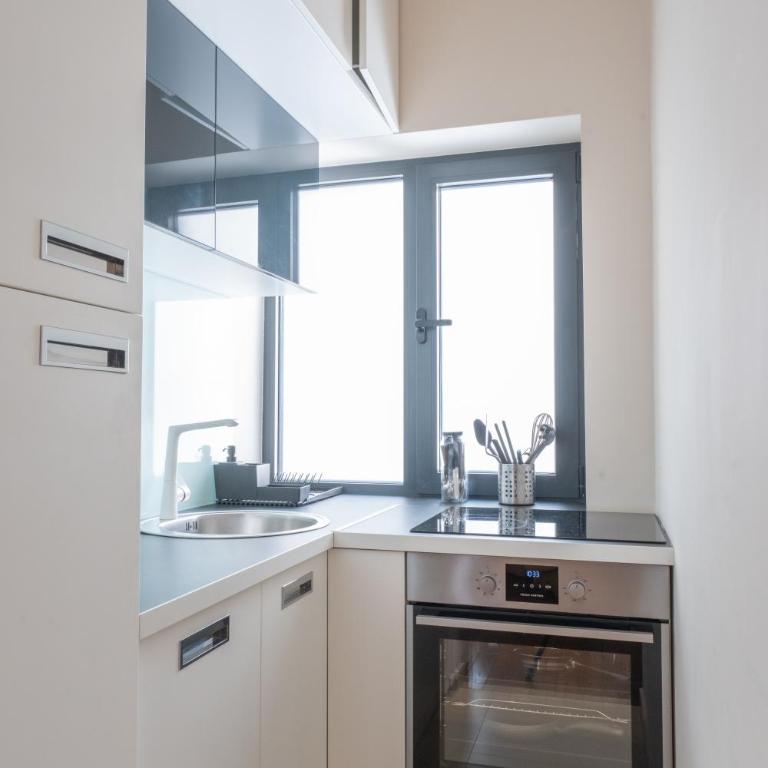 Lux apartment in city center - Deluks Dvokrevetna Soba sa Bračnim Krevetom/Zasebnim Krevetima - 4