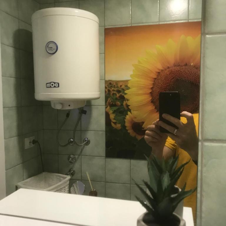 Kristina Apartman FREE parking - Apartman sa 1 Spavaćom Sobom - 30