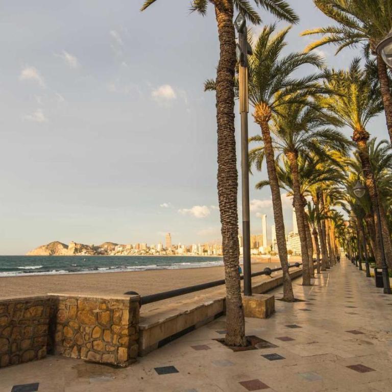Apartamento Parque Elche IF Benidorm - Apartamento - 1
