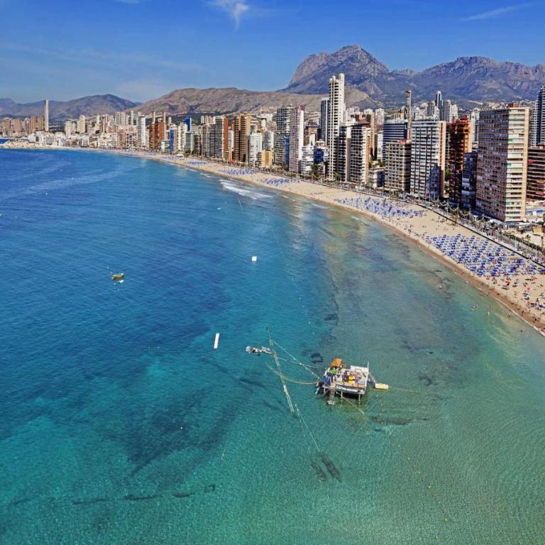 Apartamento Parque Elche IF Benidorm - Apartamento - 51