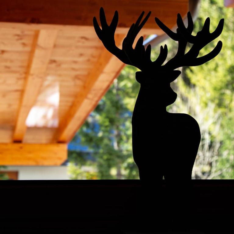 San Martino Mountain Residence - Appartamento - 6