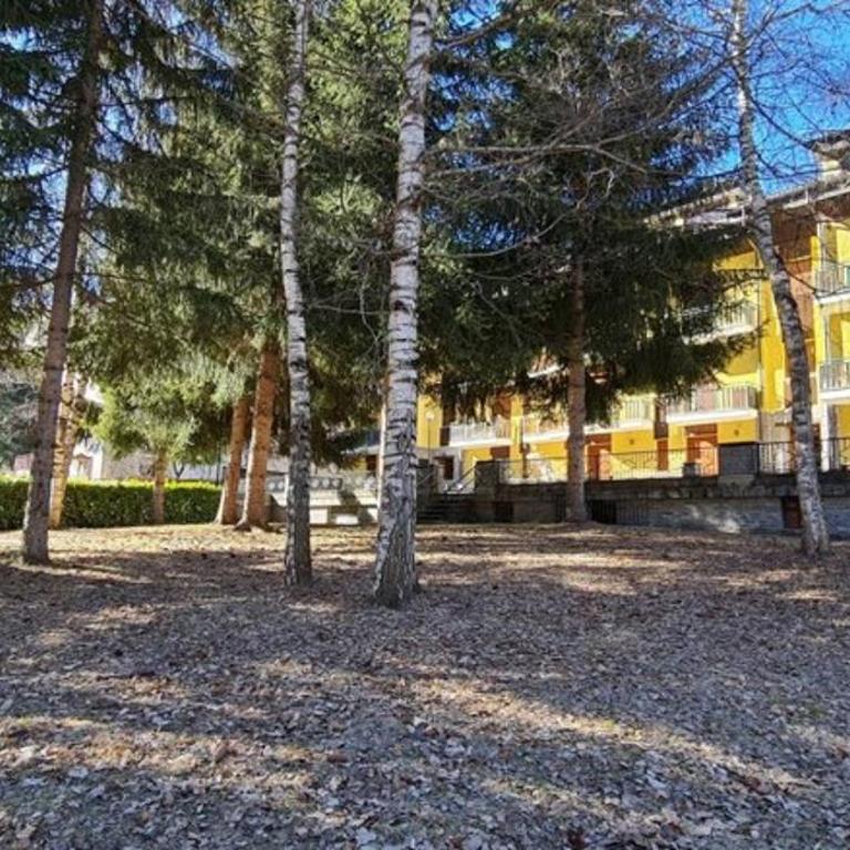 BUONAVACANZA IN MONTAGNA - Appartamento - 6