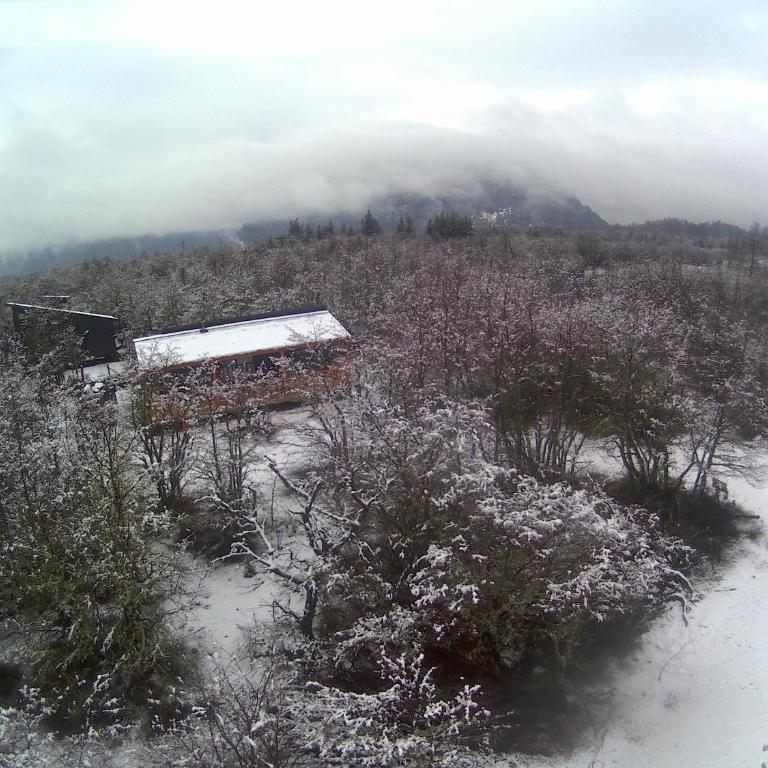 Tiny & Big House Suite Los Mallines de Malalcahuello - One-Bedroom Chalet - 29