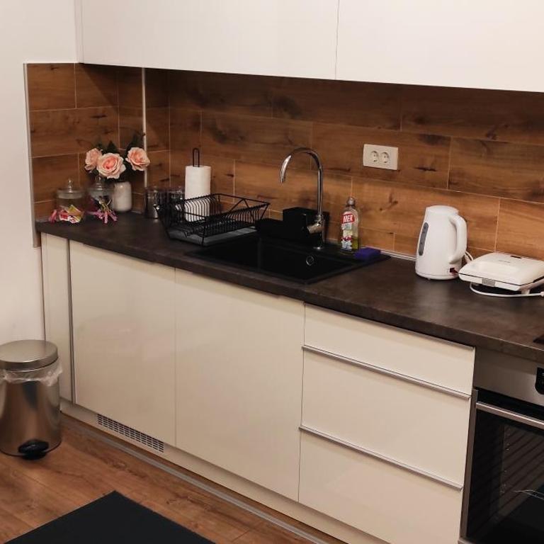 Apartman Desetka - Apartman sa 1 Spavaćom Sobom - 11