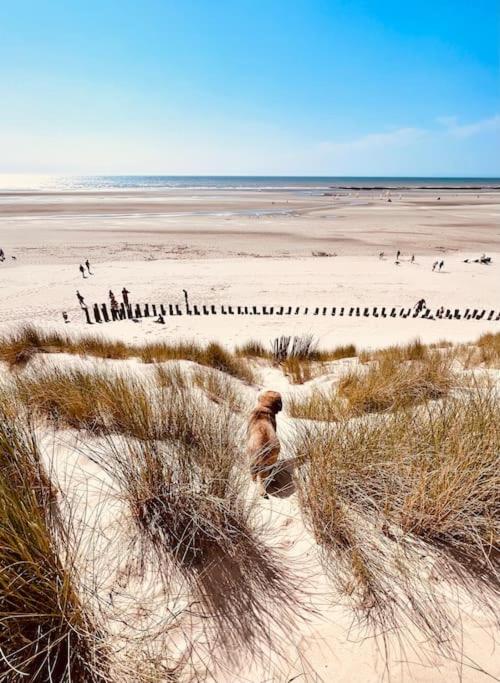 Escapade Berckoise, Berck Plage - Apartment mit 2 Schlafzimmern - 28