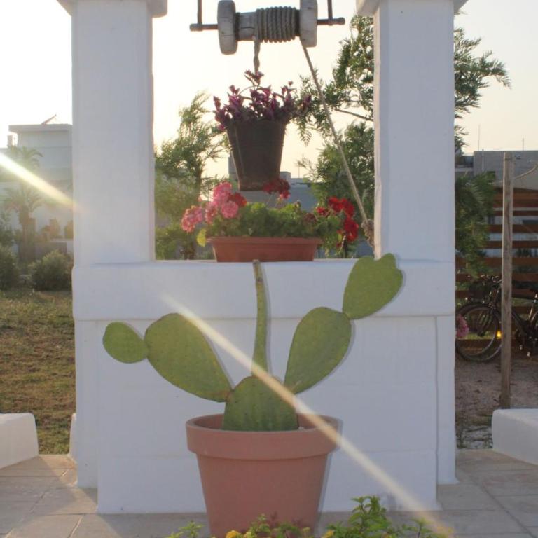 Villa Susca - villa sul mare - Villa con Vista Giardino - 46
