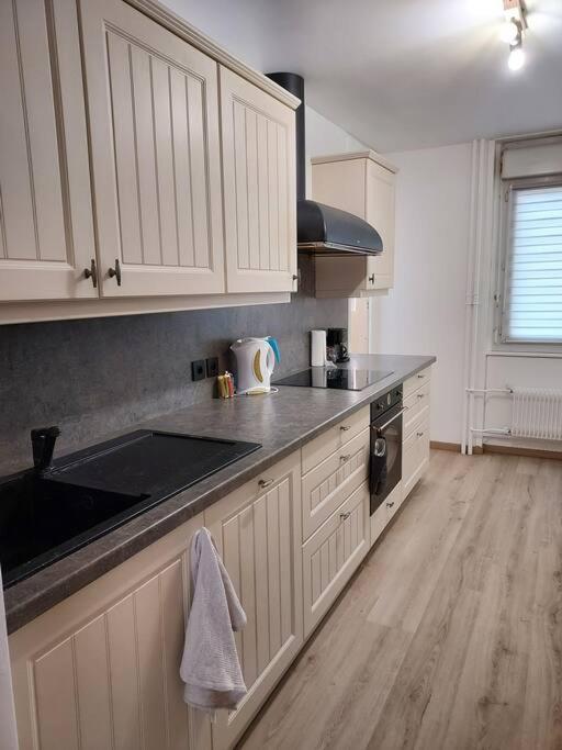 Grand appartement 2 chambres Calme Parking - Apartment mit 2 Schlafzimmern - 21