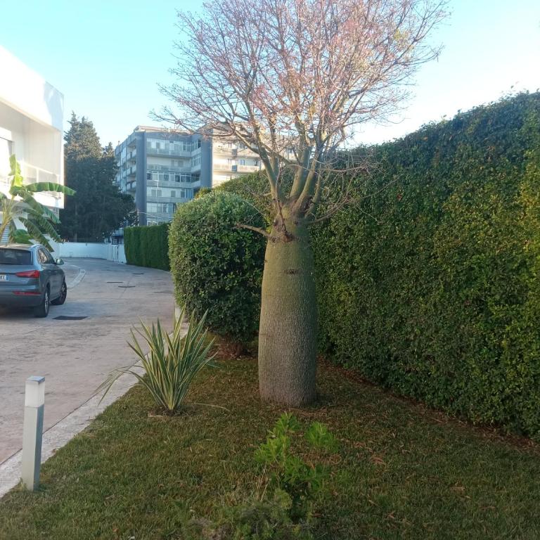 Green Park - Apartment - Ground Floor - 7