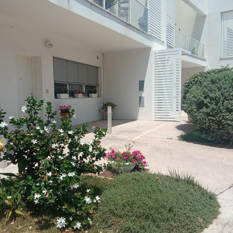 Green Park - Apartment - Ground Floor - 10
