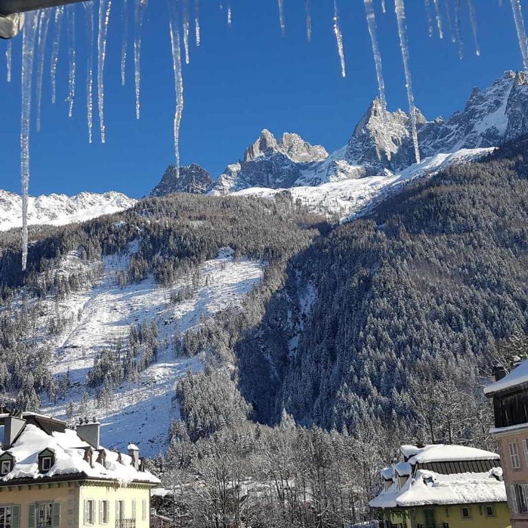 Magnifique appartement centre-ville - Animaux admis, WiFi - FR-1-517-37 - Apartment (10 Erwachsene) - 5
