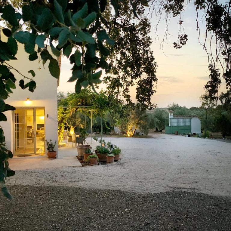 Syvyle - Three-Bedroom House - 7