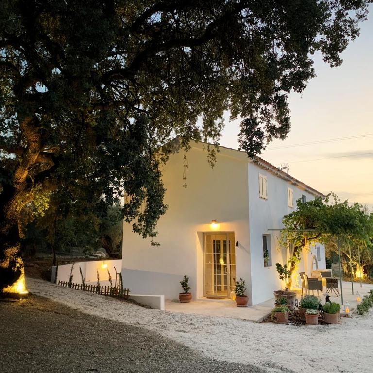 Syvyle - Three-Bedroom House - 2