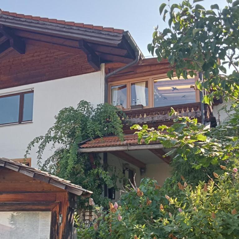 Großzügige Ferienwohnung Gimpl Kathi mit Bergblick - Apartment mit 1 Schlafzimmer - 41