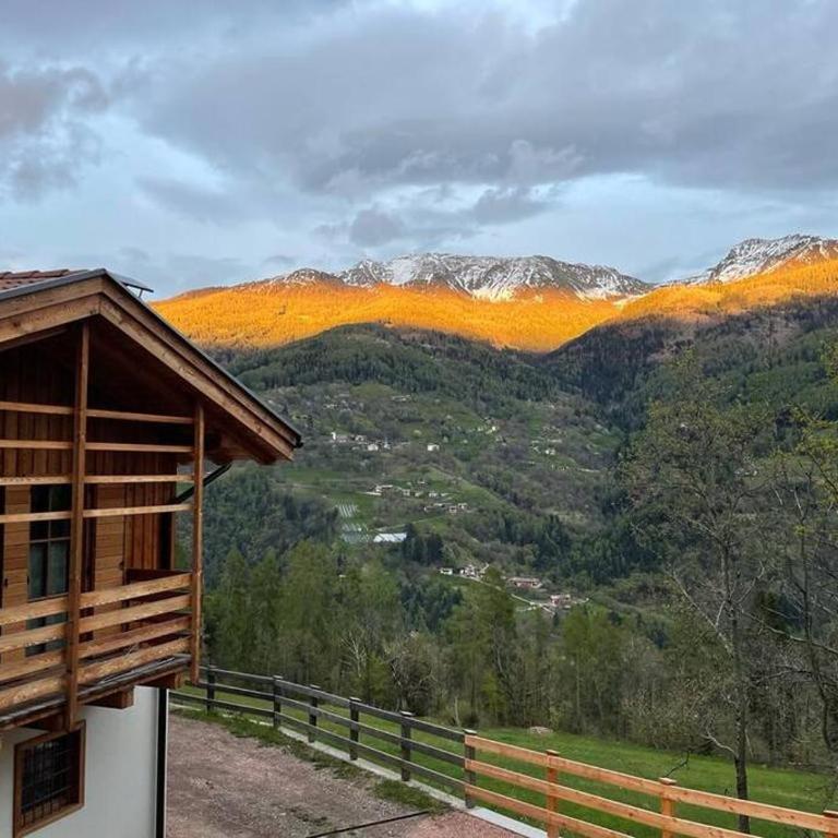 Il nido al Maso Maoro - One-Bedroom House - 11