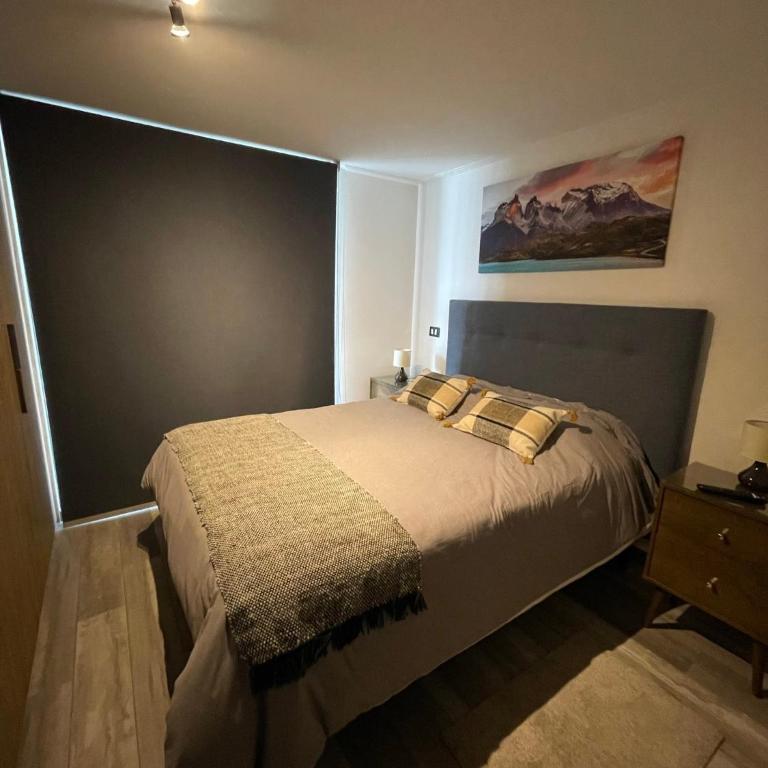 PuertoVaras410 - Apartamento de 2 dormitorios - 3