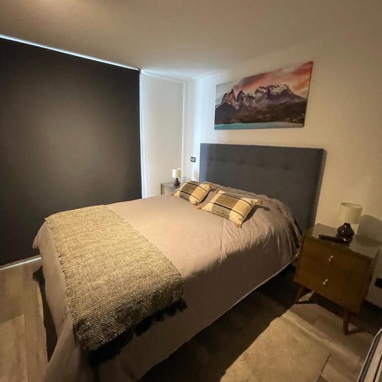 PuertoVaras410 - Apartamento de 2 dormitorios - 5