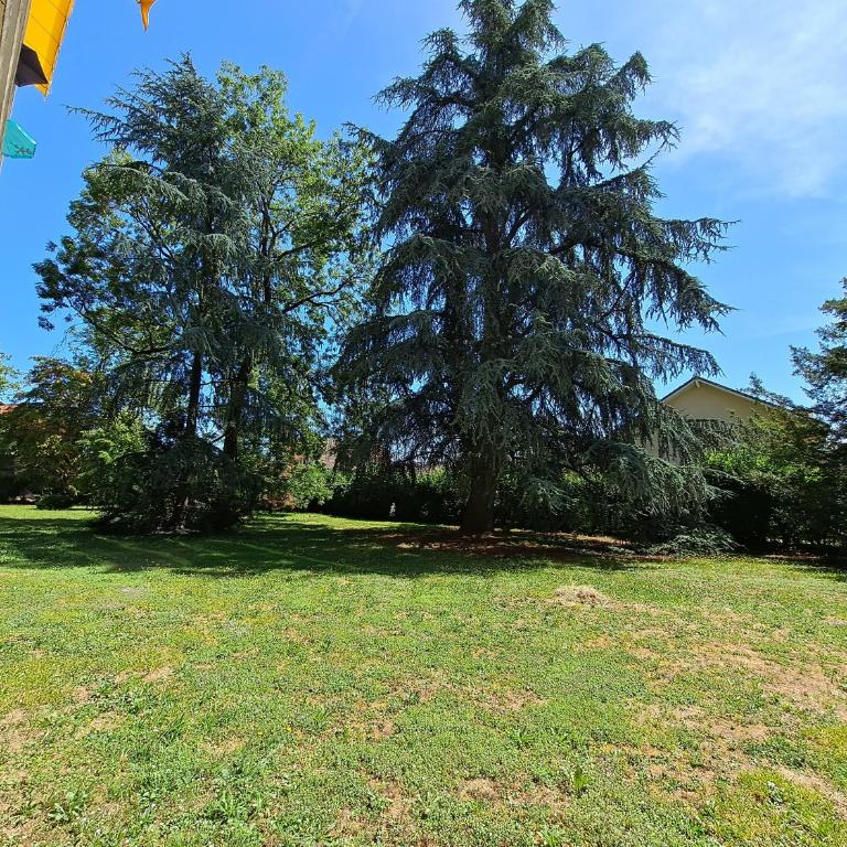 Le Duc de Savoie Thonon - Appartement 1 Chambre - 21