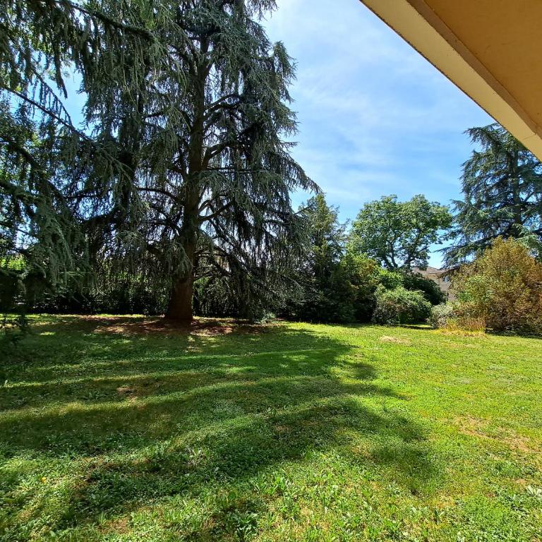 Le Duc de Savoie Thonon - Appartement 1 Chambre - 24