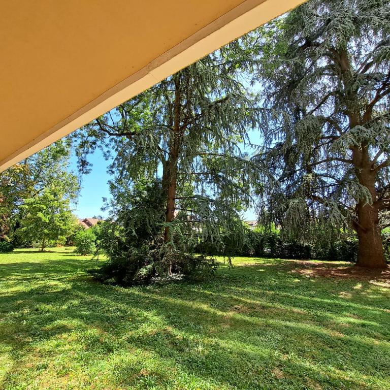 Le Duc de Savoie Thonon - Appartement 1 Chambre - 31