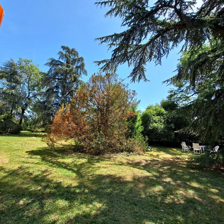 Le Duc de Savoie Thonon - Appartement 1 Chambre - 26