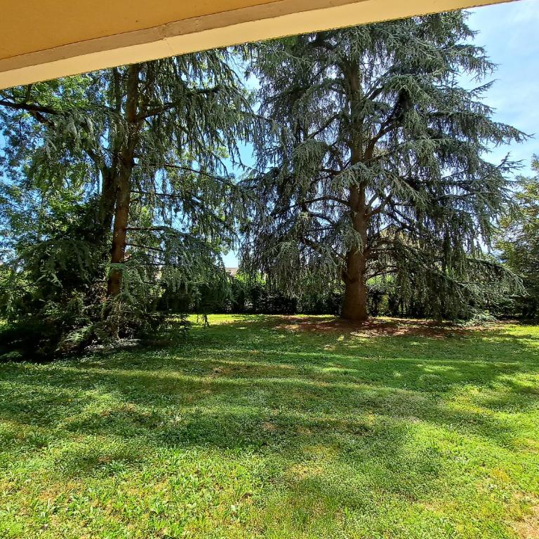 Le Duc de Savoie Thonon - Appartement 1 Chambre - 25