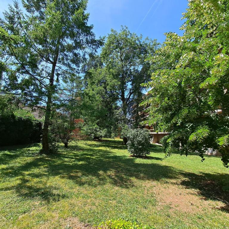 Le Duc de Savoie Thonon - Appartement 1 Chambre - 29