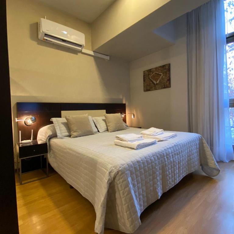 Andino Apartaments Rental Capital - Apartamento con vistas a las montañas - 10