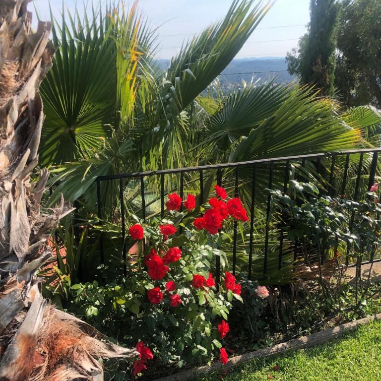 Le Haut des Espinets - Villa con Piscina Privata - 50