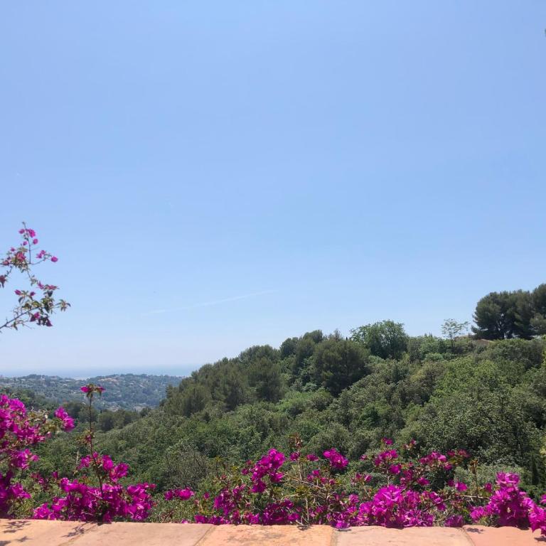 Le Haut des Espinets - Villa con Piscina Privata - 55