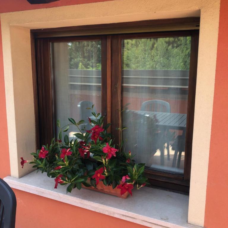 Villa Trevisi - APARTMENT-free parking - Appartamento con Terrazza - 8