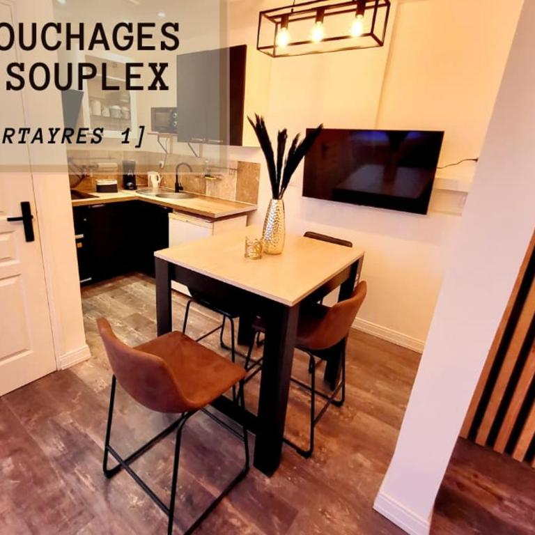 [Le Bartayres 1] T3 en souplex, terrasse, centrale - Apartment mit 2 Schlafzimmern - 1