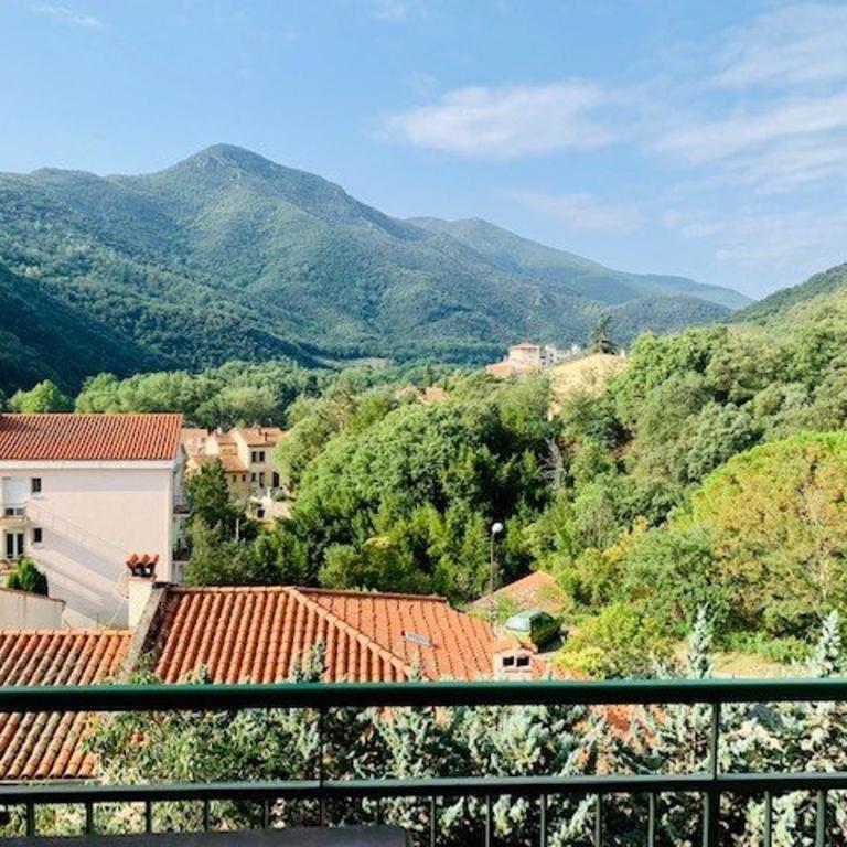 Appartement F3, 4 Couchages, Balcon, Wi-Fi, Garage, Ascenseur, Proche Centre et Cures, Amélie-les-Bains - Appartement 2 Chambres - 1