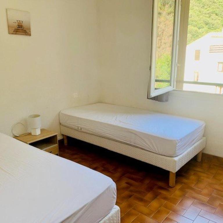 Appartement F3, 4 Couchages, Balcon, Wi-Fi, Garage, Ascenseur, Proche Centre et Cures, Amélie-les-Bains - Appartement 2 Chambres - 14