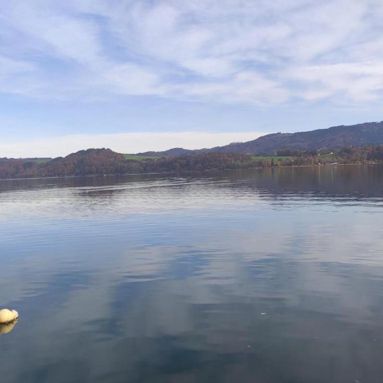 Glamping Wallersee - Unter dem Kastanienbaum - Maison 2 Chambres - 4