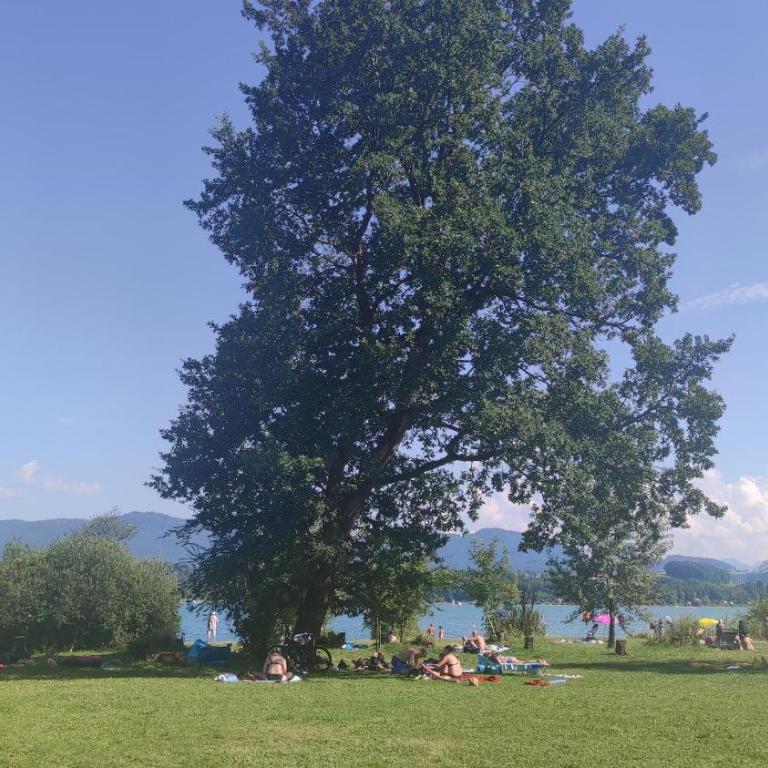 Glamping Wallersee - Unter dem Kastanienbaum - Maison 2 Chambres - 7