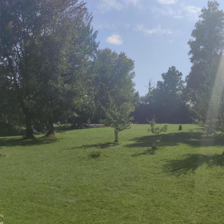 Glamping Wallersee - Unter dem Kastanienbaum - Maison 2 Chambres - 9
