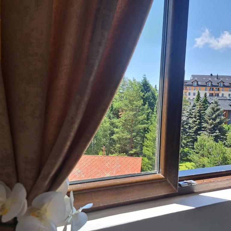 Apartman Tamjanika LUX - Apartman sa 1 Spavaćom Sobom - 59