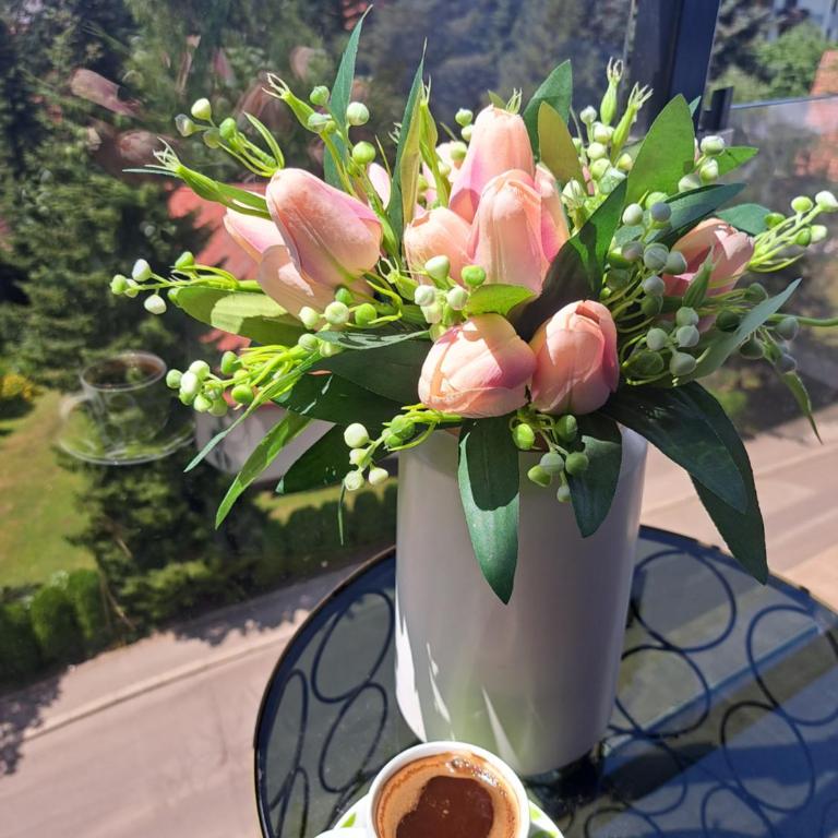 Apartman Tamjanika LUX - Apartman sa 1 Spavaćom Sobom - 56