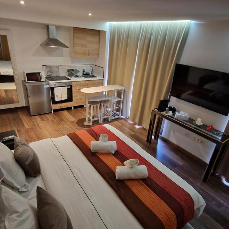 Apartamento Los Pedregales - One-Bedroom Apartment - 16